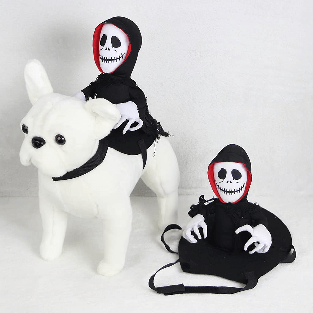 Scary Spider Rider Pet Halloween Costume