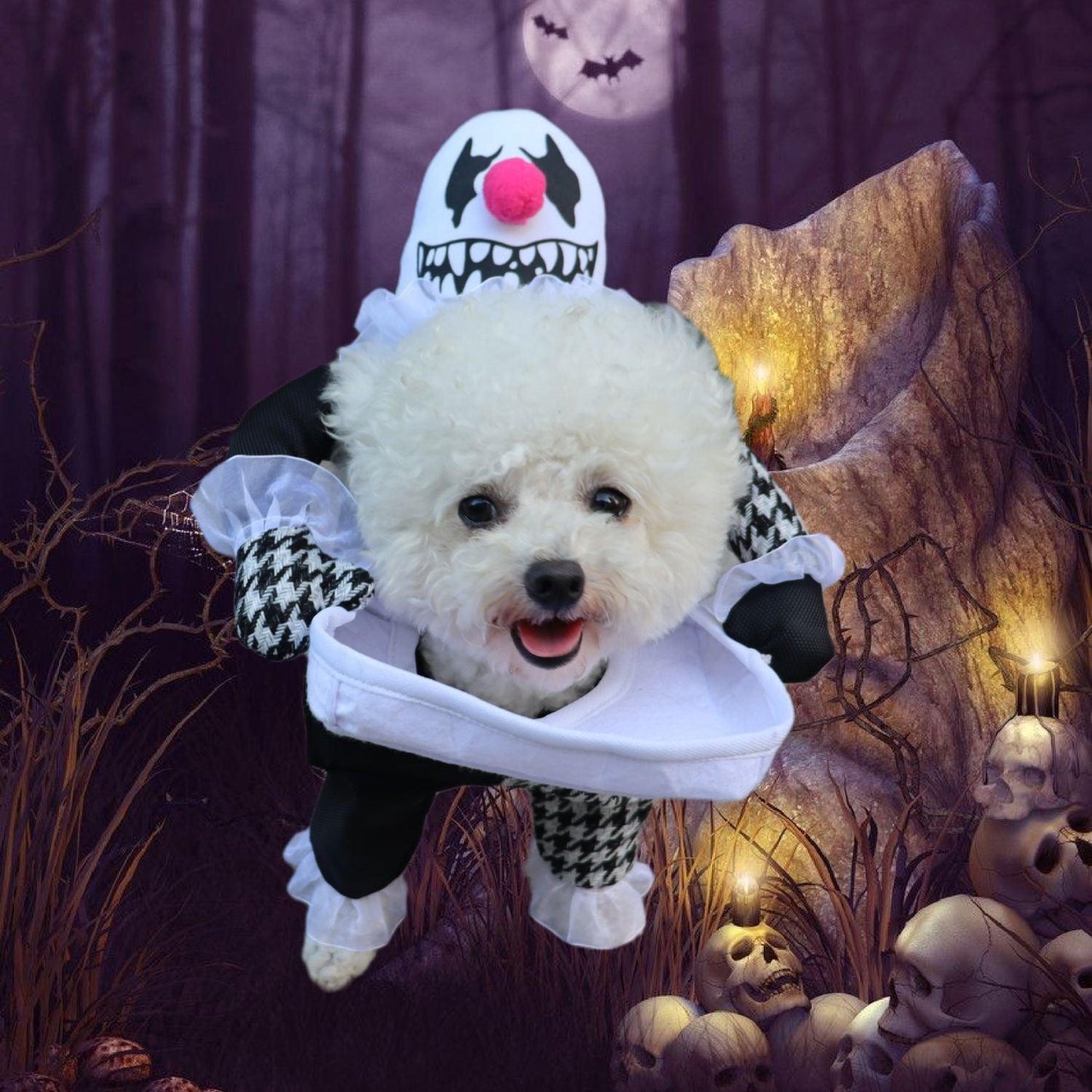 Pet Halloween Demon Transformation Costume