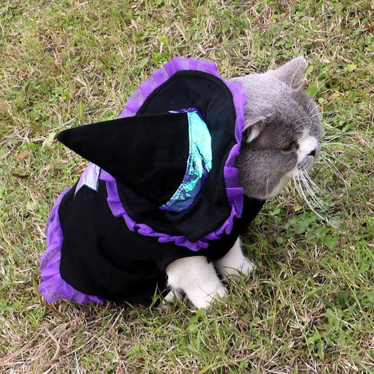 Christmas Enchanter Pet Halloween Dog Costume